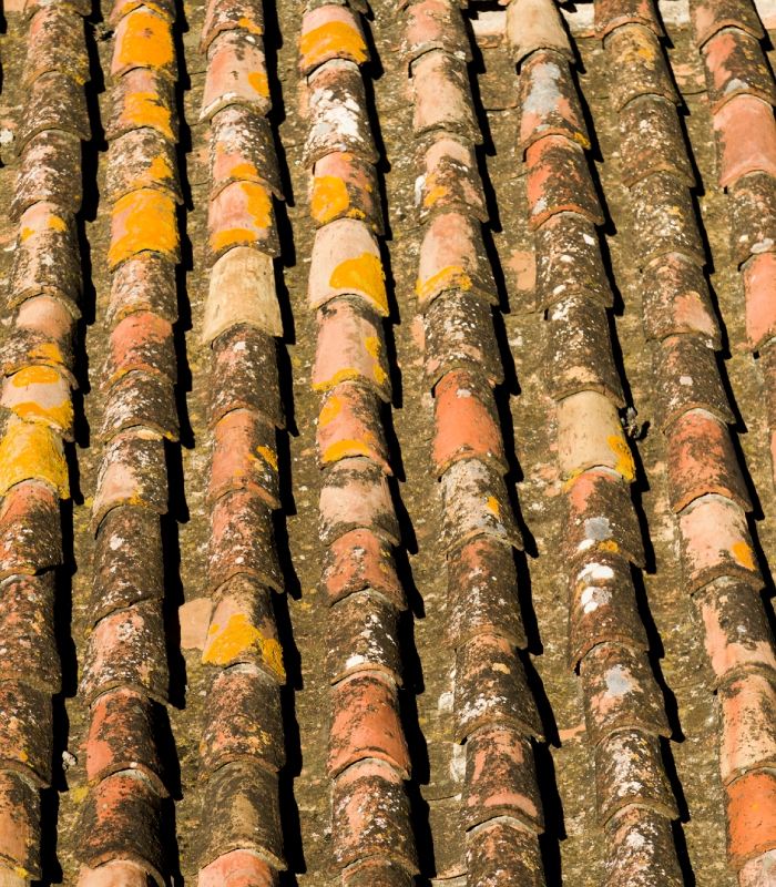 Démoussage et désamiantage de toiture sur couverture en tuiles, intervention professionnelle France Toiture Occitanie